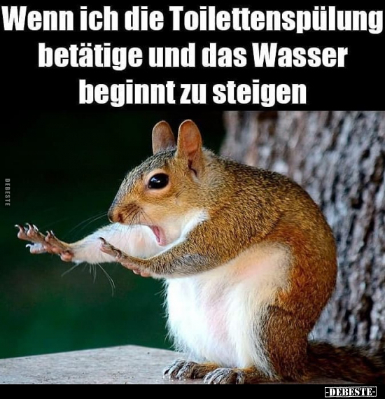 Wenn ich die Toilettenspülung betätige und das Wasser.. - Lustige Bilder | DEBESTE.de