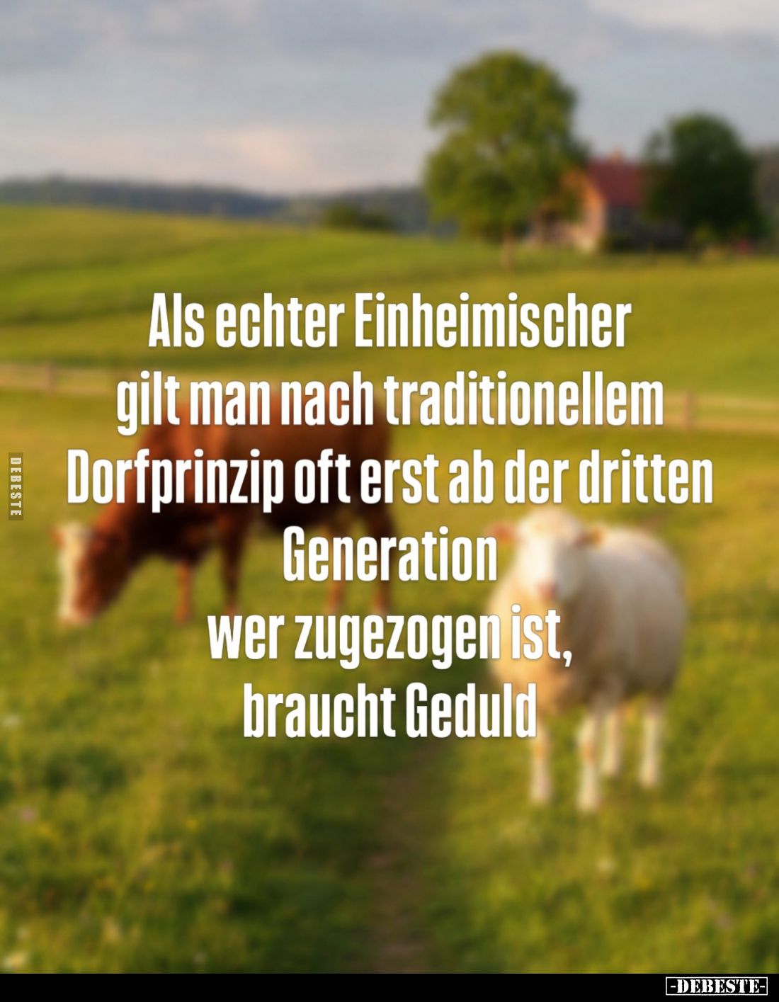 Als echter Einheimischer gilt man nach traditionellem Dorfprinzip oft erst ab der dritten Generation
wer zugezogen ist, brau...