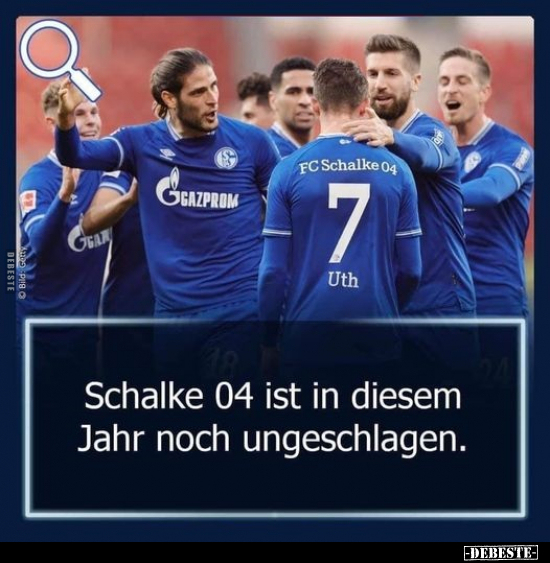 10 Lustige Bilder Von Schalke 04 In 2021 Lustig Neue Debeste