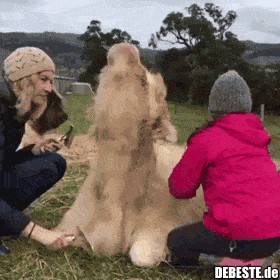 Bürsten tut so gut..