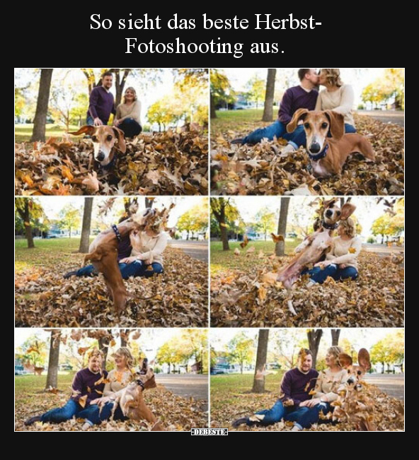 So sieht das beste Herbst-Fotoshooting aus.. - Lustige Bilder | DEBESTE.de