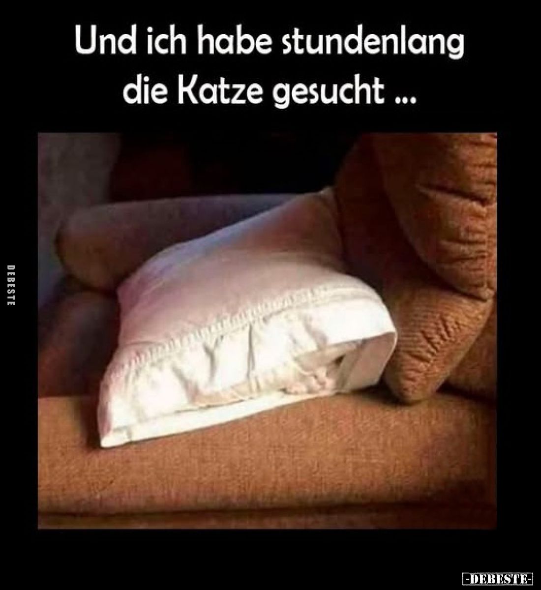 Und ich habe stundenlang die Katze gesucht ...