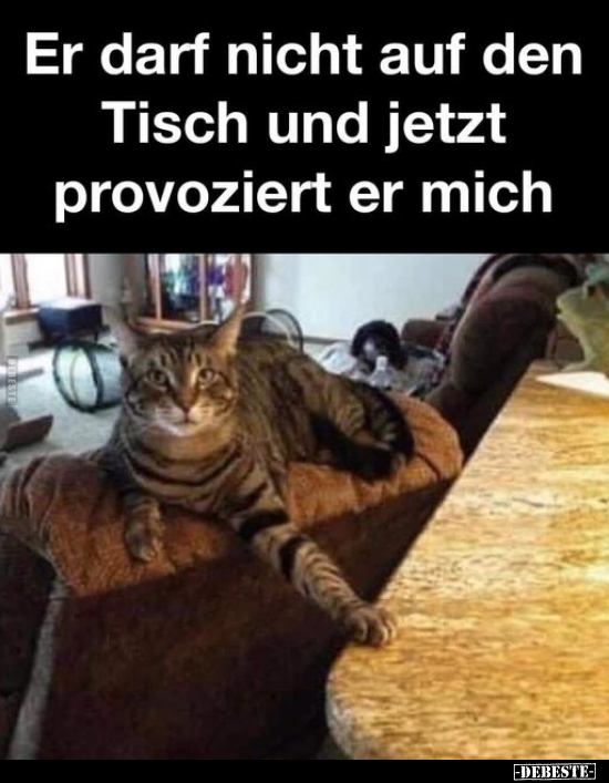 Tisch