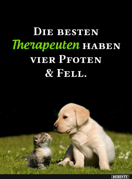 Die besten Therapeuten haben vier Pfoten und vier Beine. - Lustige Bilder | DEBESTE.de