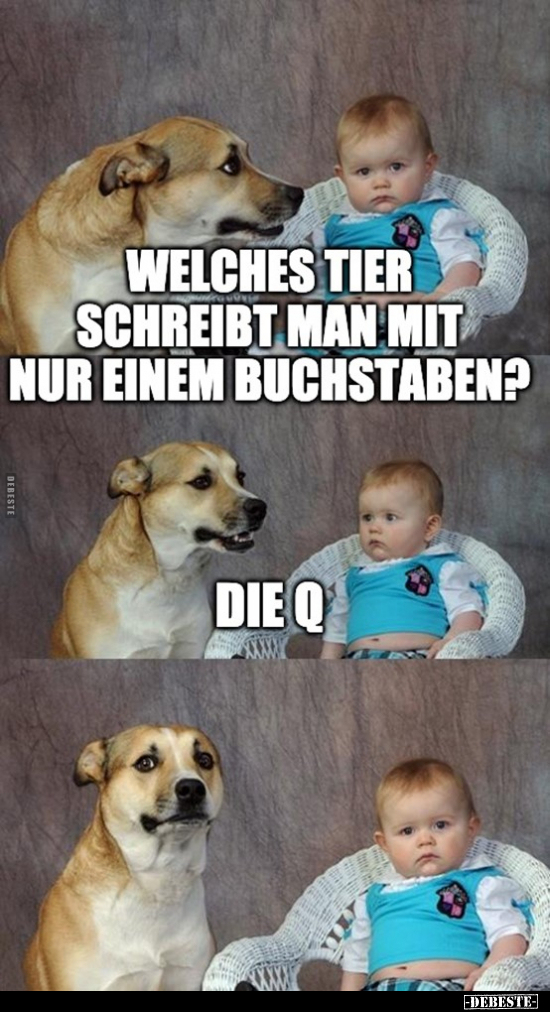 Welches Tier schreibt man mit nur einem Buchstaben?.. - Lustige Bilder | DEBESTE.de