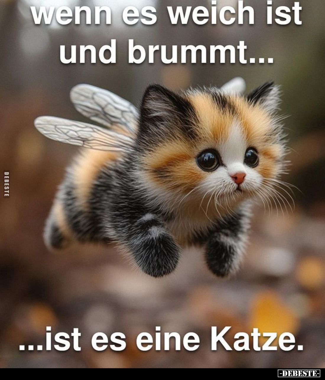 Wenn es weich ist und brummt... ist es eine Katze.