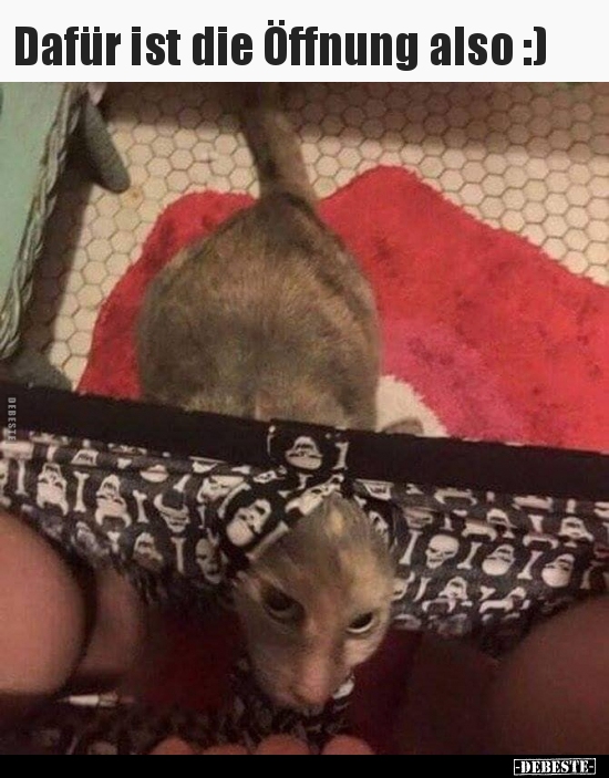Dafür ist die Öffnung also :)