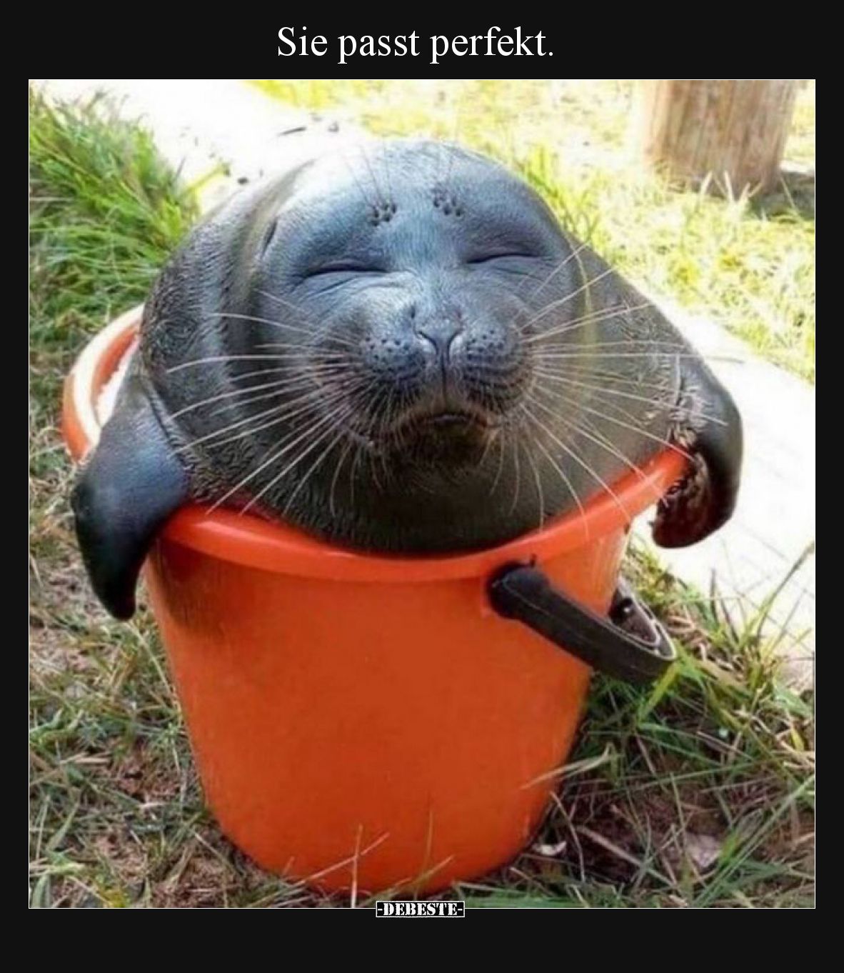 Sie passt perfekt.