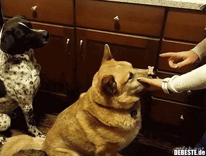 Erstaunlich! - Lustige Bilder | DEBESTE.de