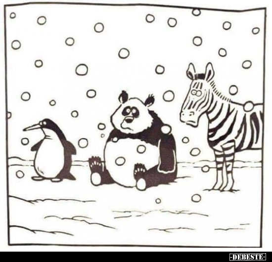  - Lustige Bilder | DEBESTE.de