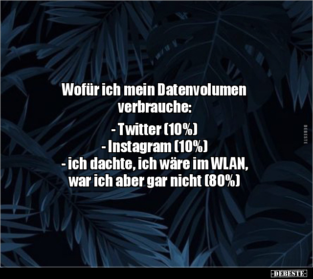 Wofür ich mein Datenvolumen verbrauche: - Twitter (10%).. - Lustige Bilder | DEBESTE.de