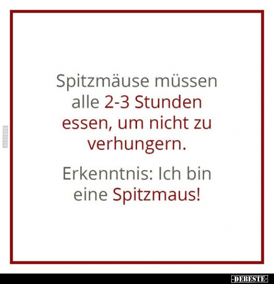 Spitzmäuse müssen alle 2-3 Stunden essen.. - Lustige Bilder | DEBESTE.de