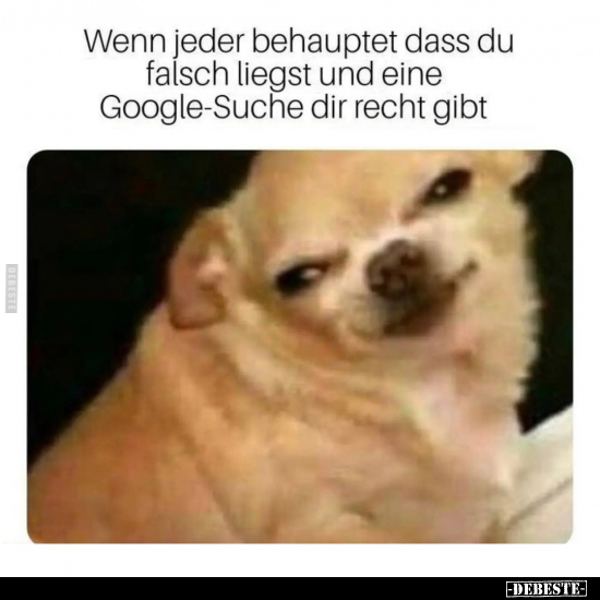 Wenn jeder behauptet dass du falsch liegst.. - Lustige Bilder | DEBESTE.de