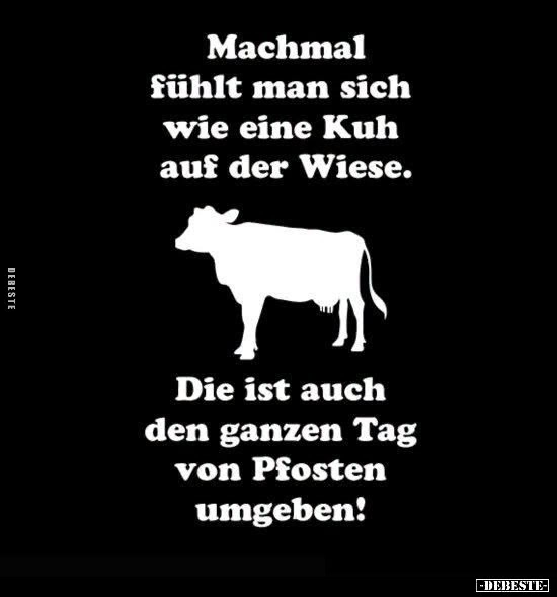Machmal fühlt man sich wie eine Kuh auf der Wiese.
Die ist auch den ganzen Tag von Pfosten umgeben!
