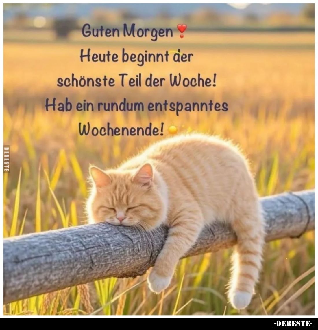 Guten Morgen.
Heute beginnt der schönste Teil der Woche! Hab ein rundum entspanntes Wochenende!
