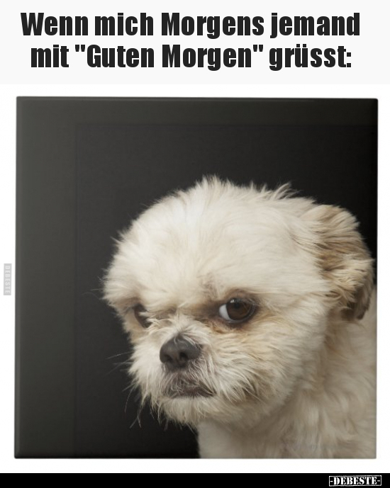 Wenn mich Morgens jemand mit "Guten Morgen" grüsst.. - Lustige Bilder | DEBESTE.de
