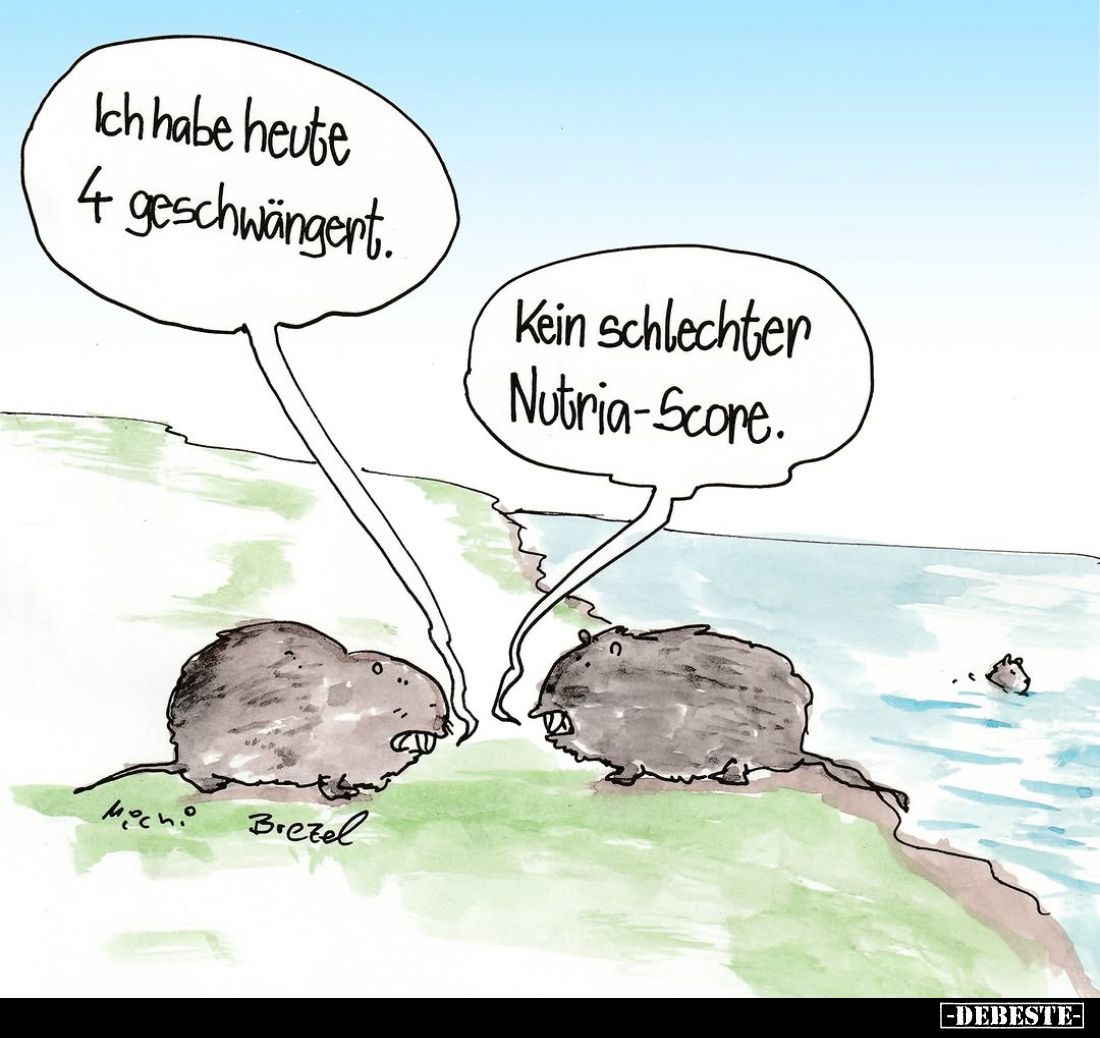 Ich habe heute 4 geschwängert. -
Kein schlechter Nutria-Score.