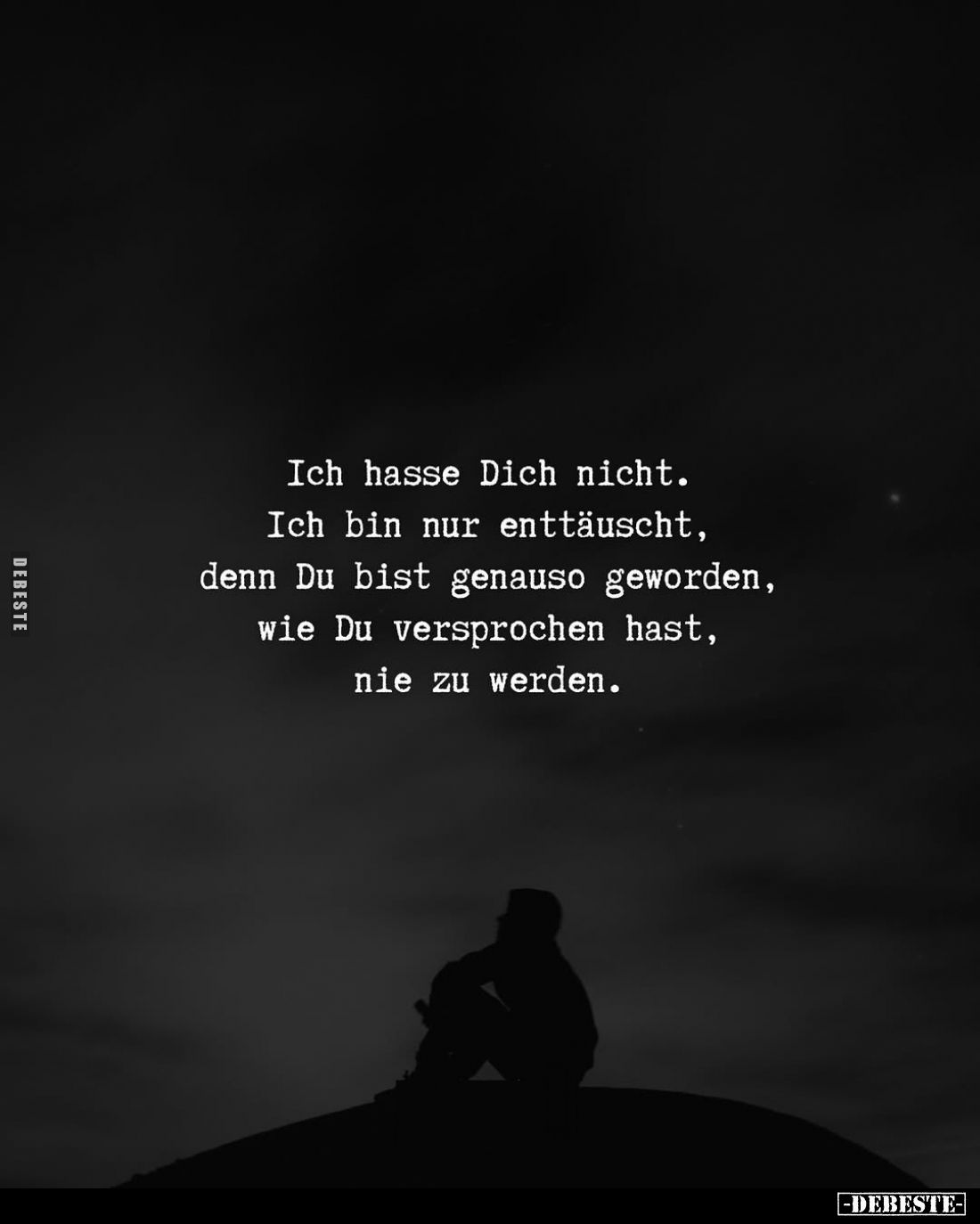 Ich hasse Dich nicht. Ich bin nur enttäuscht, denn Du bist.. - Lustige Bilder | DEBESTE.de