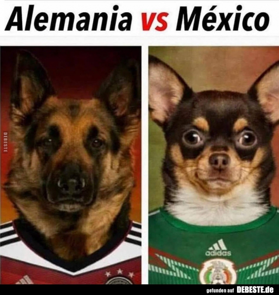 Alemania vs Mexico.. - Lustige Bilder | DEBESTE.de