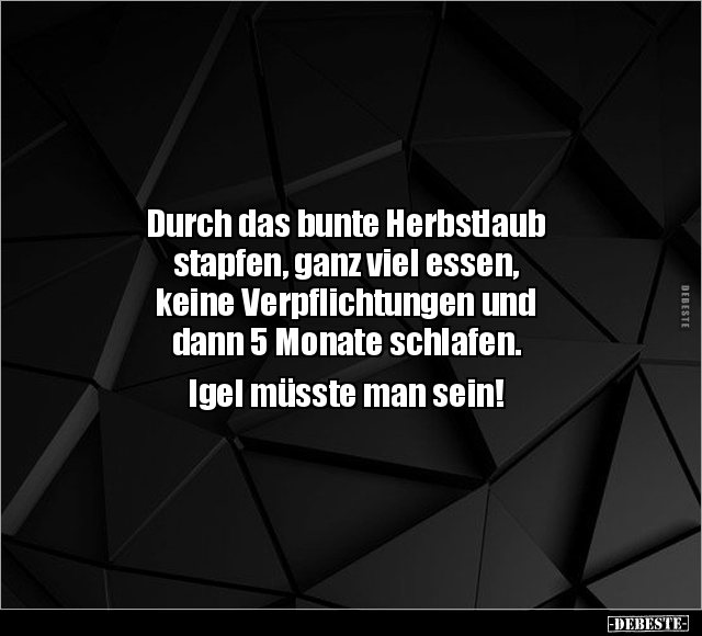 Durch das bunte Herbstlaub stapfen, ganz viel essen.. - Lustige Bilder | DEBESTE.de