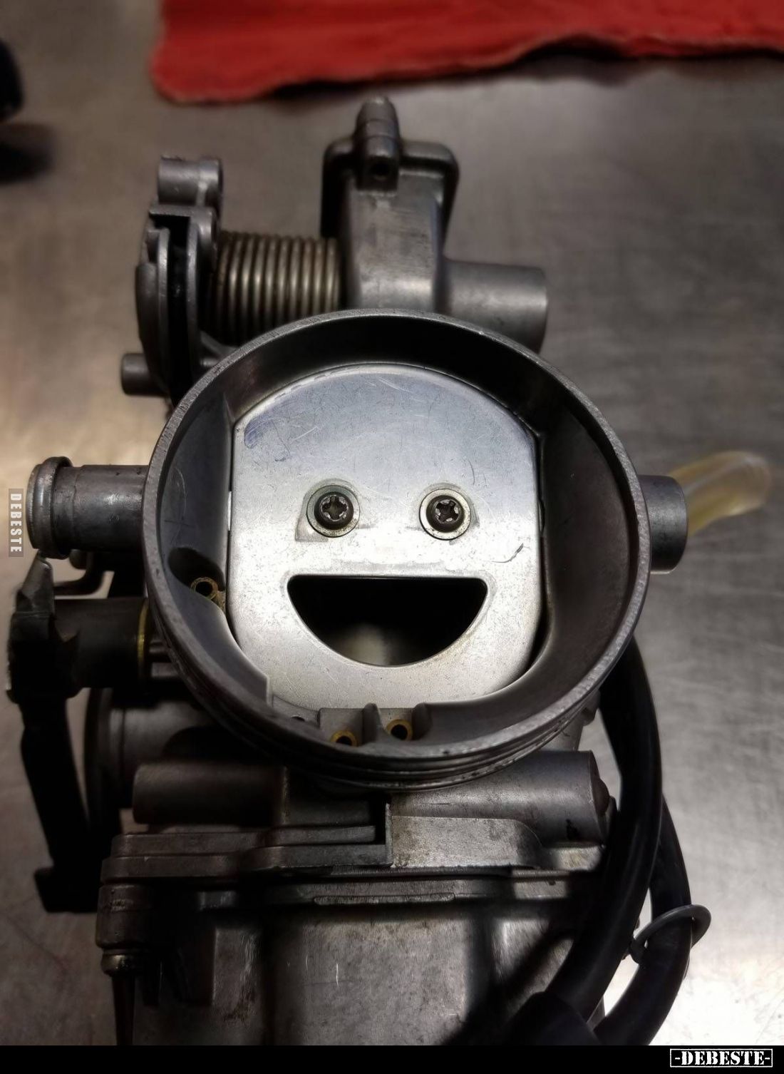  - Lustige Bilder | DEBESTE.de