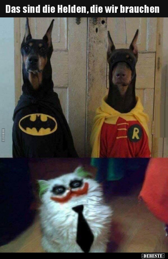 Das sind die Helden, die wir brauchen..