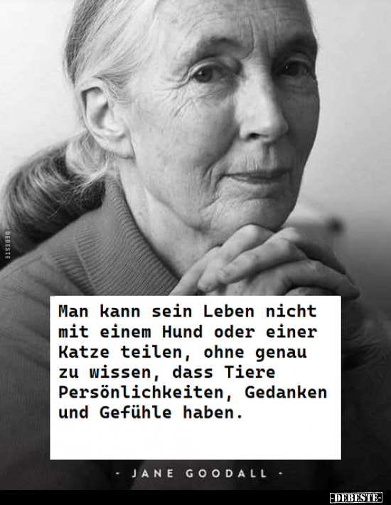 Man kann sein Leben nicht mit einem Hund oder einer a Katze.. - Lustige Bilder | DEBESTE.de