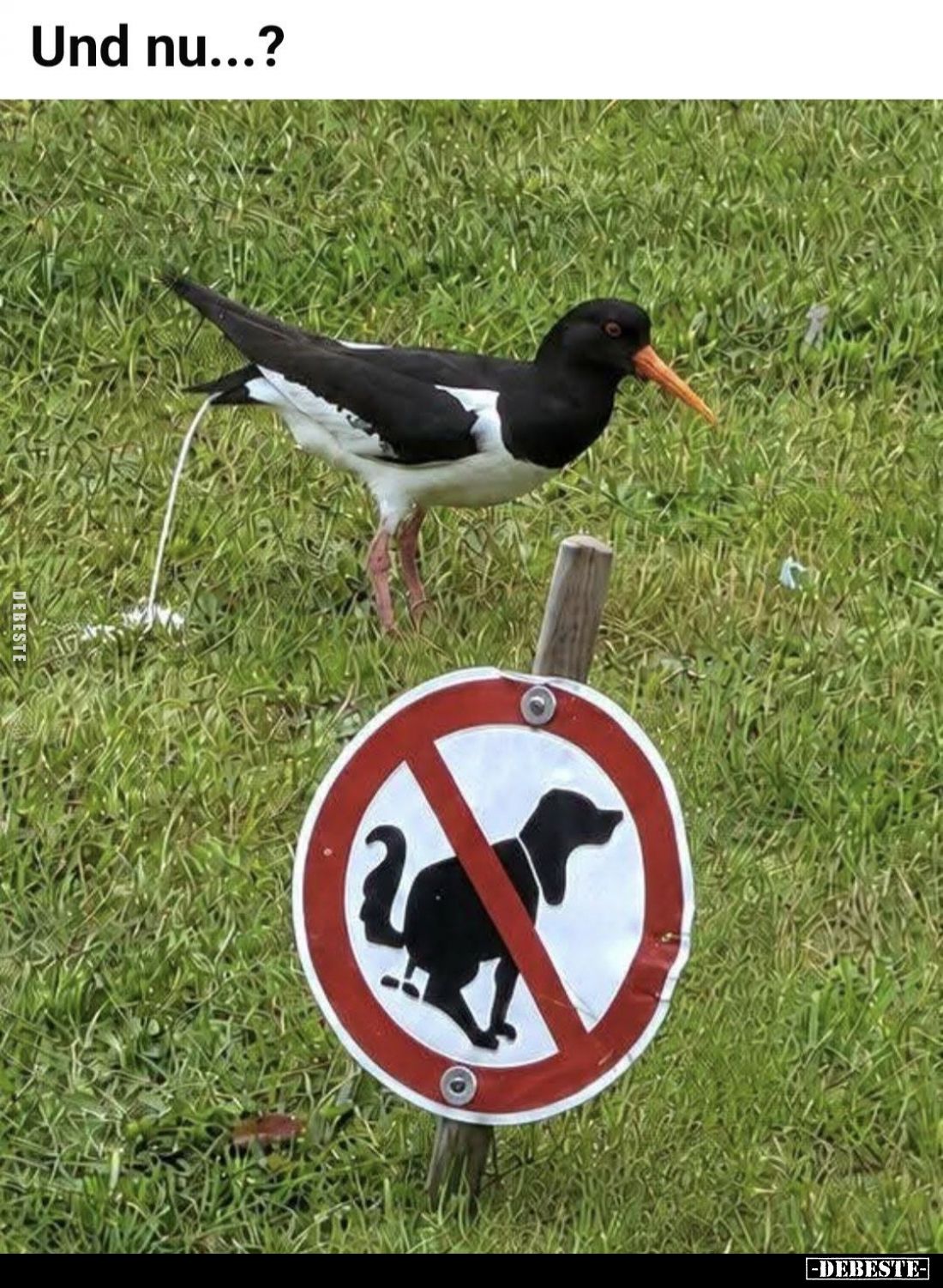 Und nu....?
