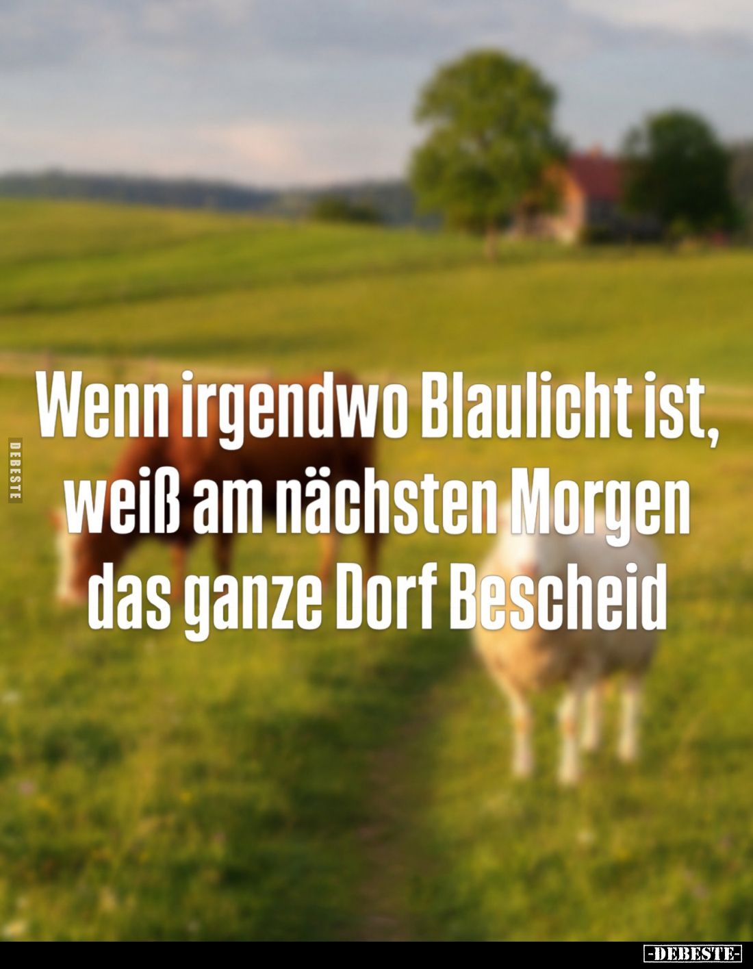 Wenn irgendwo Blaulicht ist, weiß am nächsten Morgen das ganze Dorf Bescheid