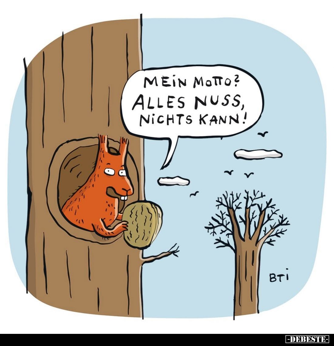 Μein Motto?
Alles Nuss, nichts kann!