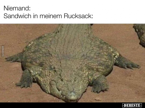 Sandwich in meinem Rucksack..