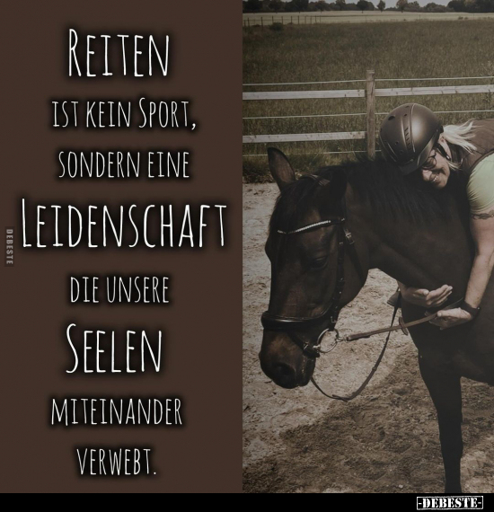 Reiten ist kein Sport, sondern eine Leidenschaft die unsere.. - Lustige Bilder | DEBESTE.de