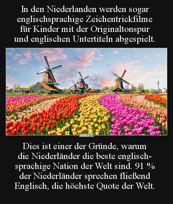 In den Niederlanden werden sogar englischsprachige.. - Lustige Bilder | DEBESTE.de