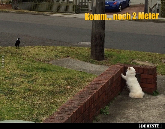Komm... noch 2 Meter..