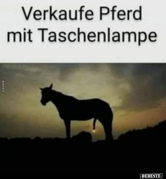Verkaufe Pferd mit Taschenlampe.. - Lustige Bilder | DEBESTE.de