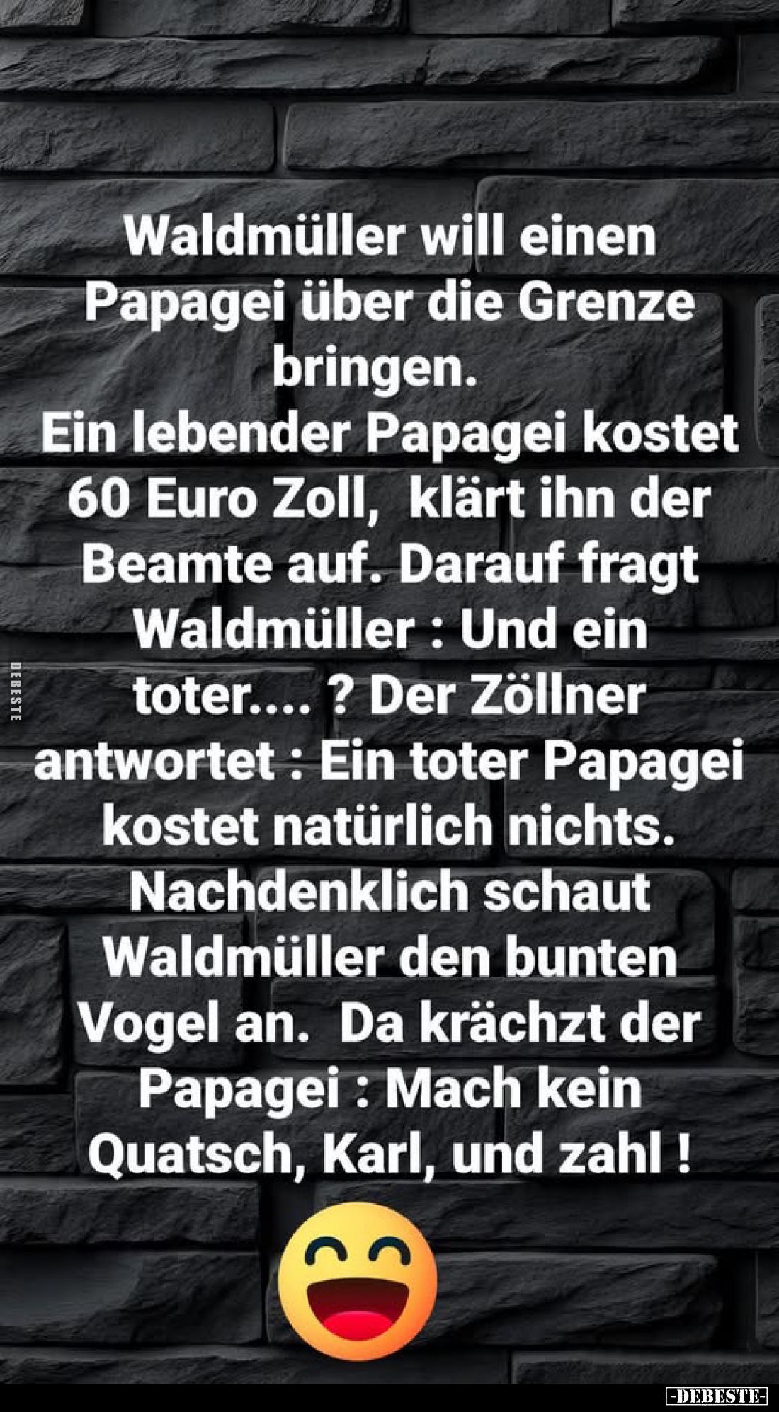 Waldmüller will einen Papagei über die Grenze bringen.
Ein lebender Papagei kostet 60 Euro Zoll, klärt ihn der Beamte auf. D...