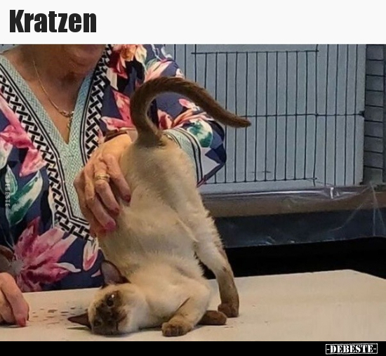 Kratzen.. - Lustige Bilder | DEBESTE.de