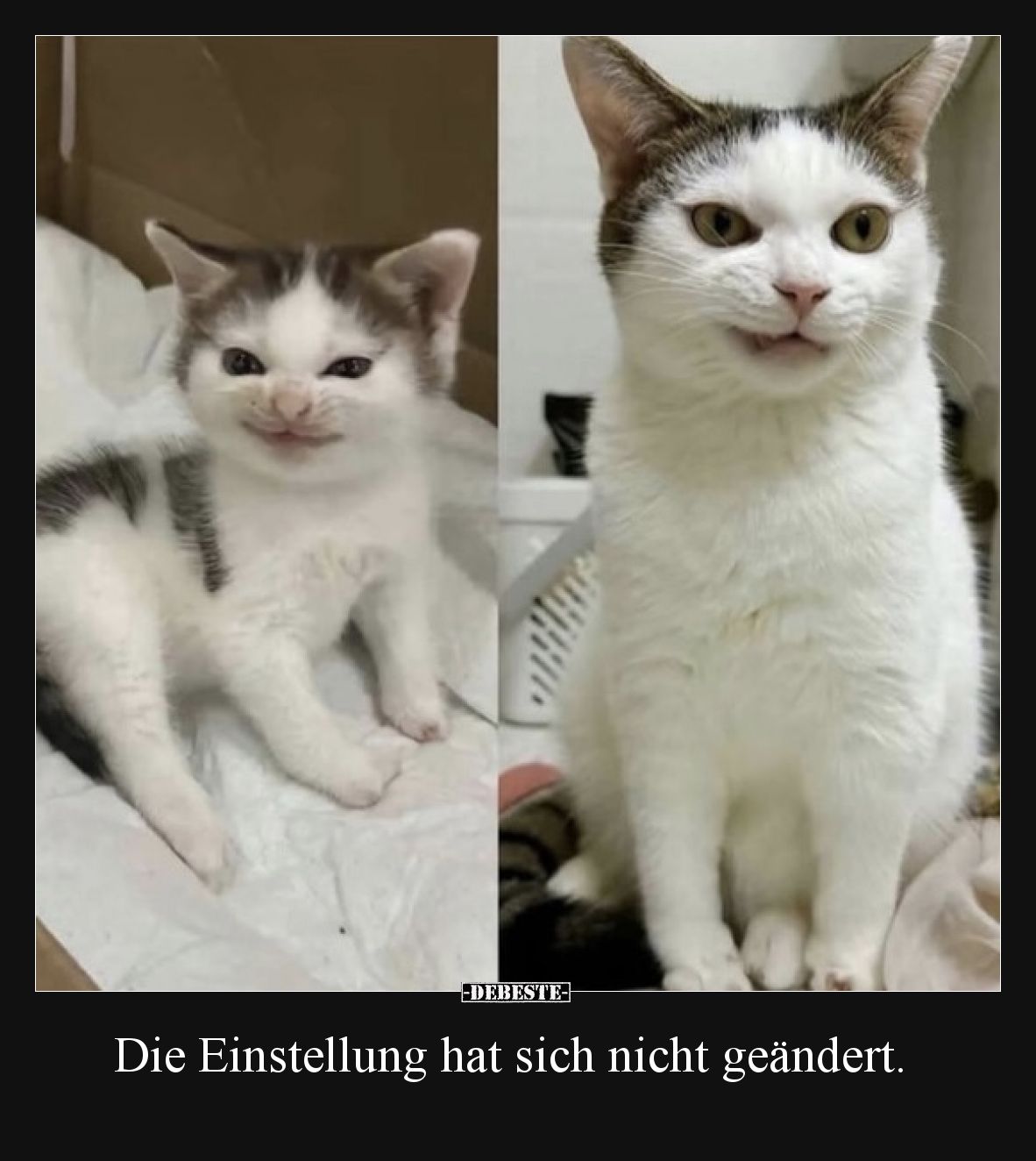 Die Einstellung hat sich nicht geändert.
