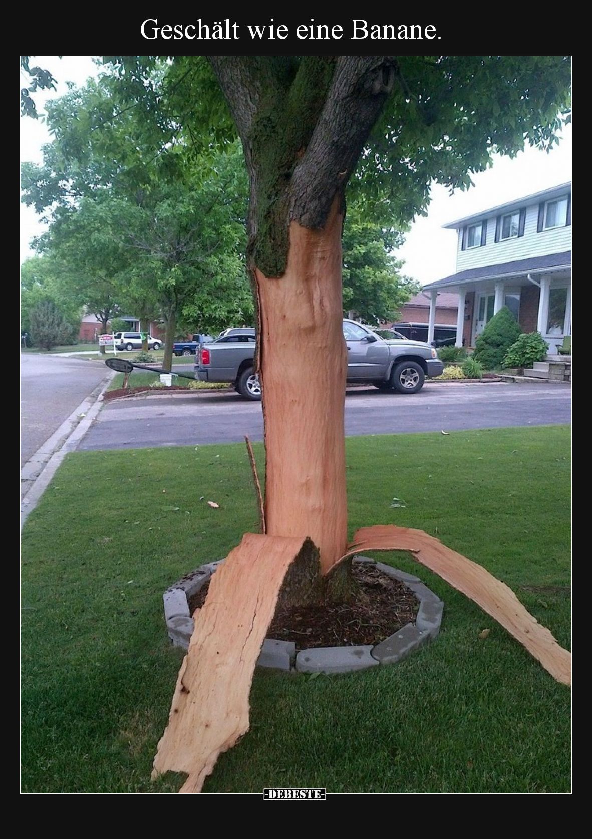 Geschält wie eine Banane.