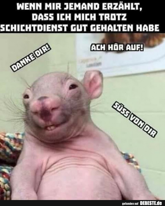 Wenn mir jemand erzählt dass ich mich trotz..