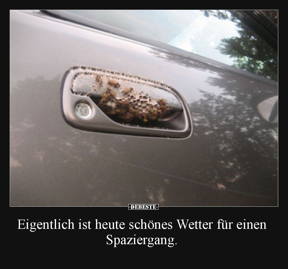 Eigentlich ist heute schönes Wetter für einen Spaziergang.