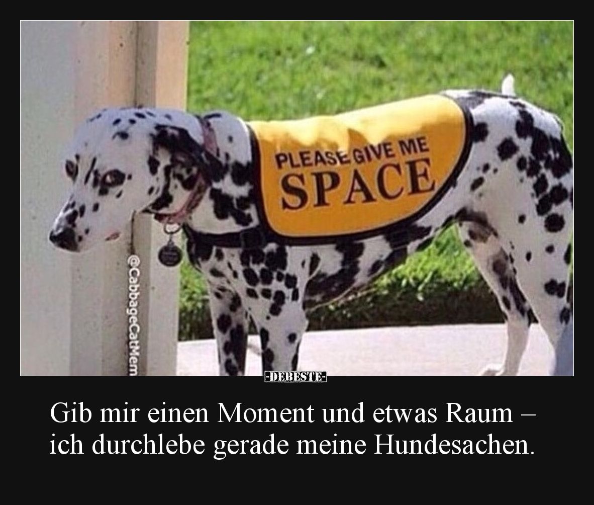 Gib mir einen Moment und etwas Raum – ich durchlebe gerade meine Hundesachen.
