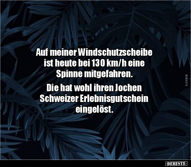 Auf meiner Windschutzscheibe ist heute bei 130 km/h eine.. - Lustige Bilder | DEBESTE.de