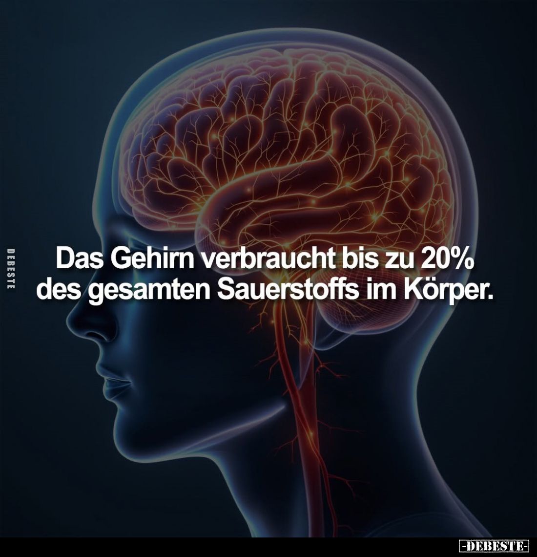 Das Gehirn verbraucht bis zu 20%... - Lustige Bilder | DEBESTE.de