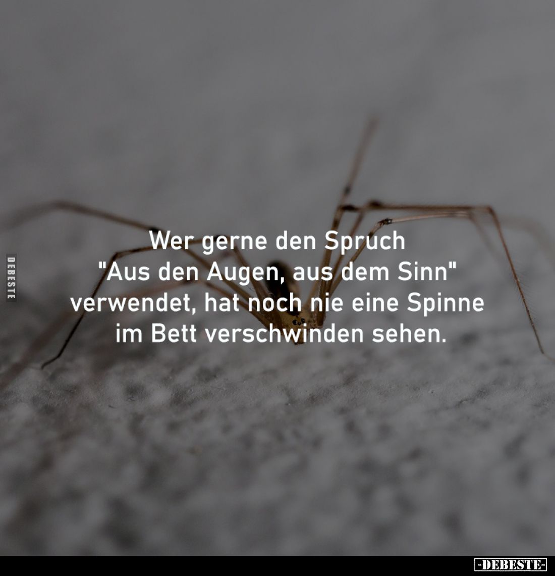 Wer gerne den Spruch 
"Aus den Augen, aus dem Sinn" 
verwendet, hat noch nie eine Spinne 
im Bett verschwinden s...