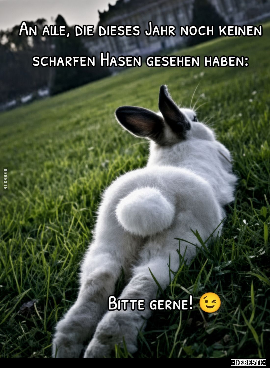 An alle, die dieses Jahr noch keinen scharfen Hasen gesehen haben:
Bitte gerne!