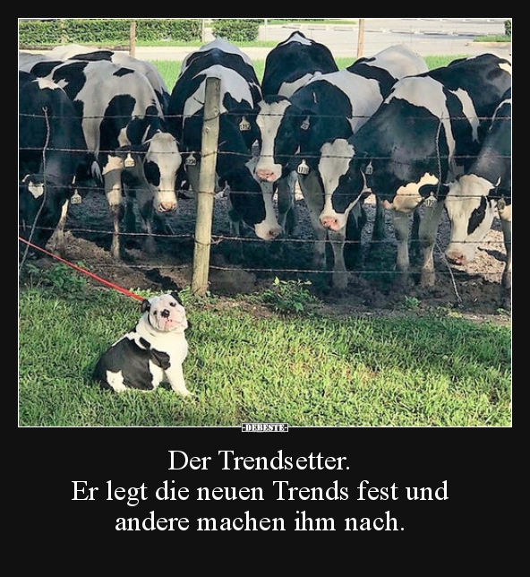 Der Trendsetter. Er legt die neuen Trends fest und.. - Lustige Bilder | DEBESTE.de