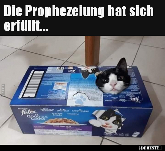 Die Prophezeiung hat sich erfüllt...