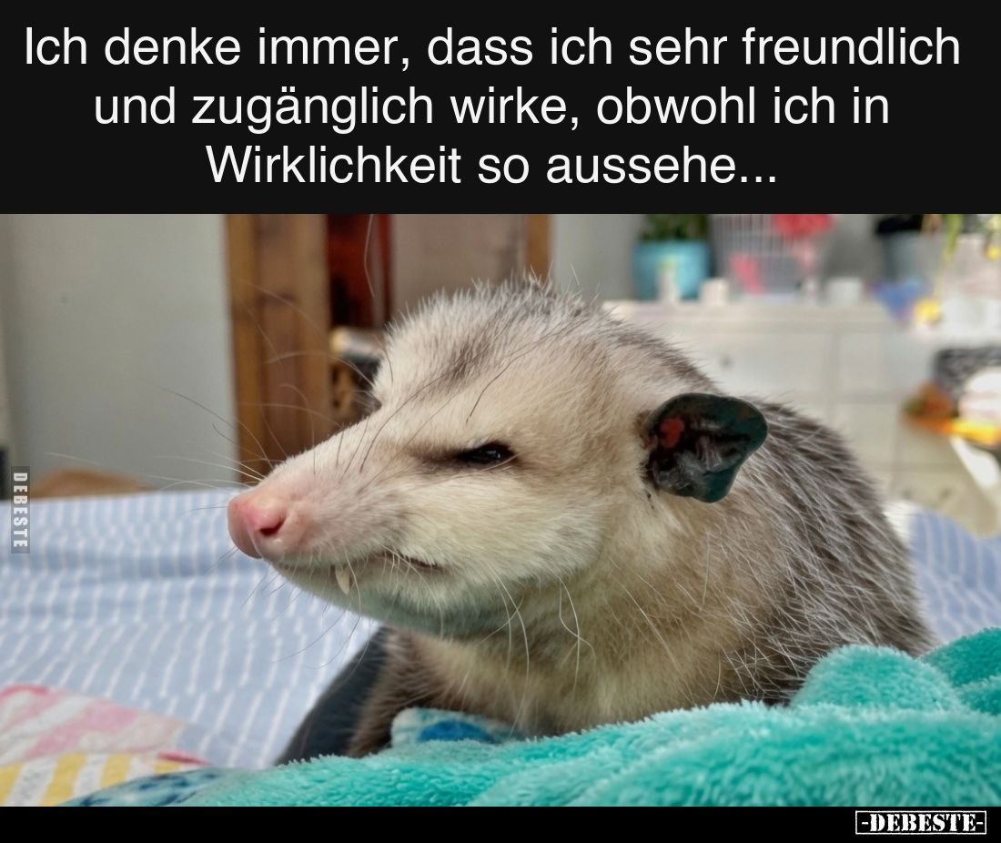 Ich denke immer, dass ich sehr freundlich und zugänglich wirke, obwohl ich in Wirklichkeit so aussehe...