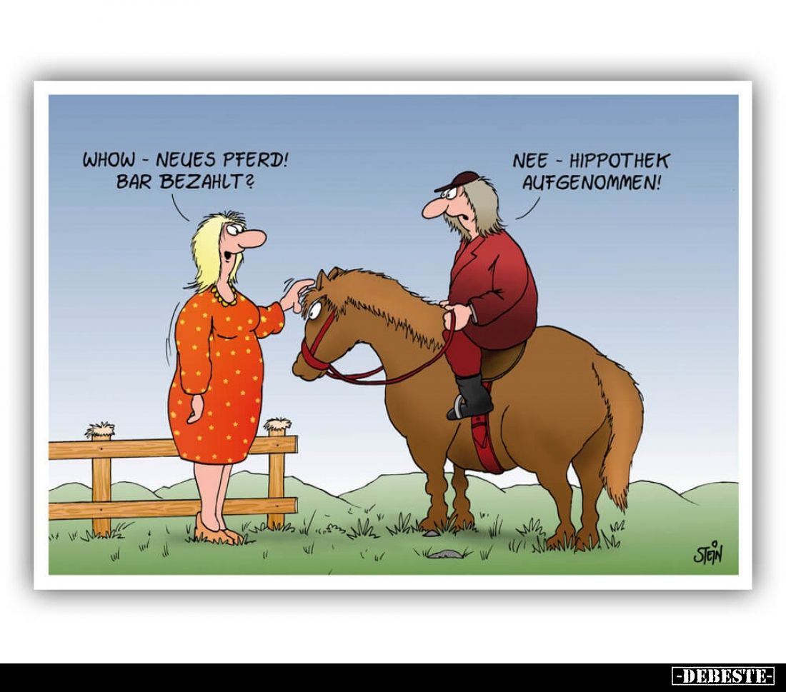 Whow - neues Pferd! Bar bezahlt?
-
Nee - Hippothek aufgenommen!